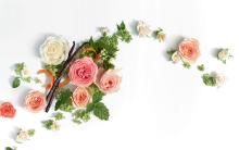 Rosa, Mandarino, Vaniglia e Patchouli